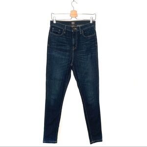 UO | BDG Twig High Rise Dark Wash Jeans